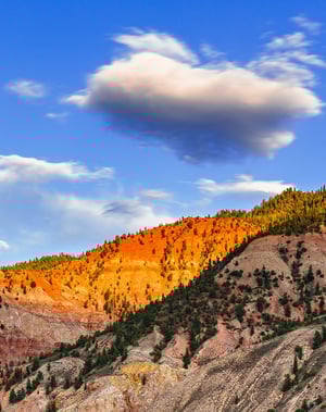 home-topmiddle-landscape-1